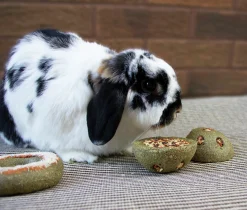 Gnagarleksak Treat 'n' Gnaw Bunny Buns 8cm 2-p>Rosewood Clearance