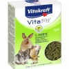Gnagartillskott Vitafit C Forte 100g>Vitakraft Outlet