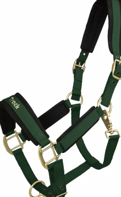 Grimma Werano>Back on Track Outlet
