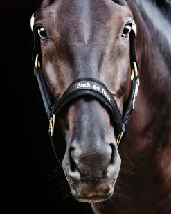 Grimma Werano>Back on Track Best