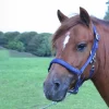 Grimma Fodrad Marin Shetland>Hansbo Sport