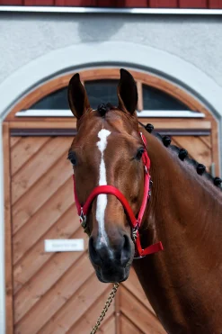 Grimma Fodrad Röd Cob>Hansbo Sport Online