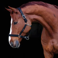 Grimma Fodrad Svart Ponny>Hansbo Sport Best