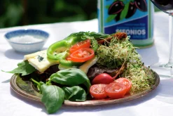 Groddar Alfalfa Organic>Nelson Garden