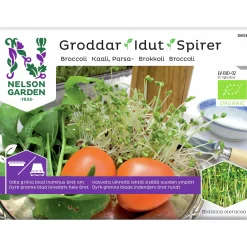 Groddar Broccoli Organic>Nelson Garden Hot