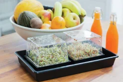 Groddbox>Nelson Garden Online