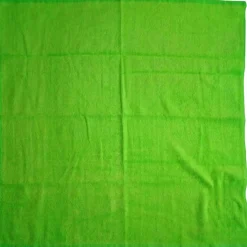 Handduk Hund Bambu Grön 61x61cm><noscript><img width=