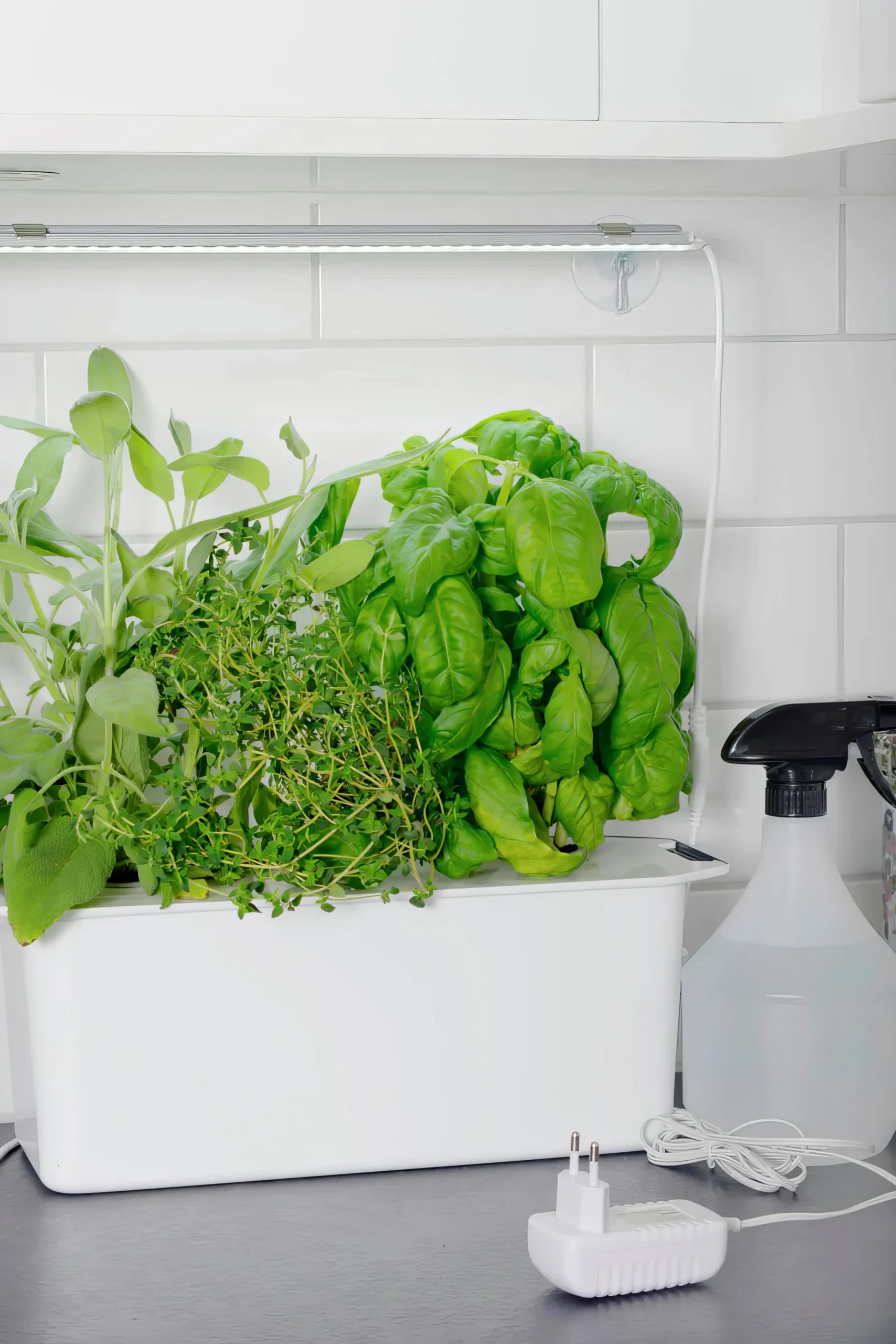 Hängare till LED-ramp med sugproppar>Nelson Garden Sale