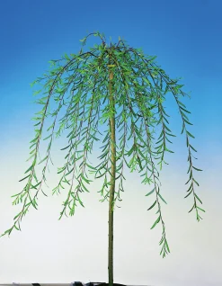Hängvide ca 100-120cm>Omnia garden Best