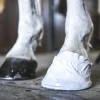 Hov- och Veterinärtejp Vit 18m>Outdoor tapes Online