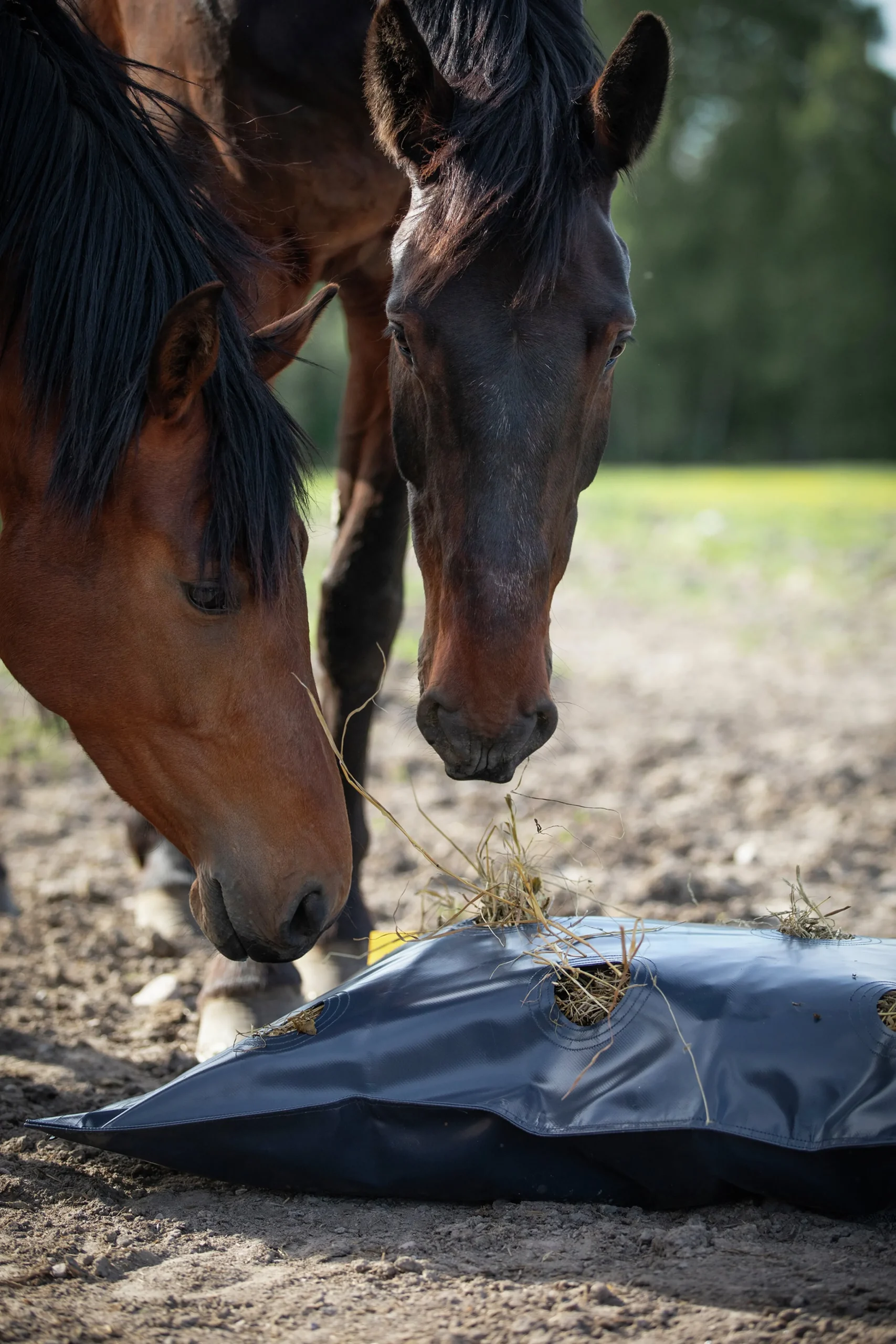 Höpåse Protector HayFlow Bag 100x80cm>Källquist Online