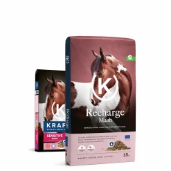 Hästfoder Recharge Mash 15kg>Krafft Online