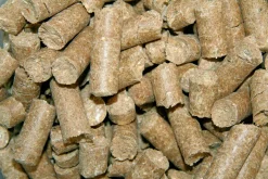 Hästgodis Delizia Äpple 3kg>Kerbl