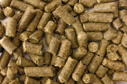 Hästgodis Morot 2kg>Granngården