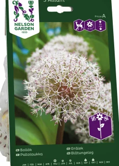 Höstlök Bollök Karataviense>Nelson Garden Best