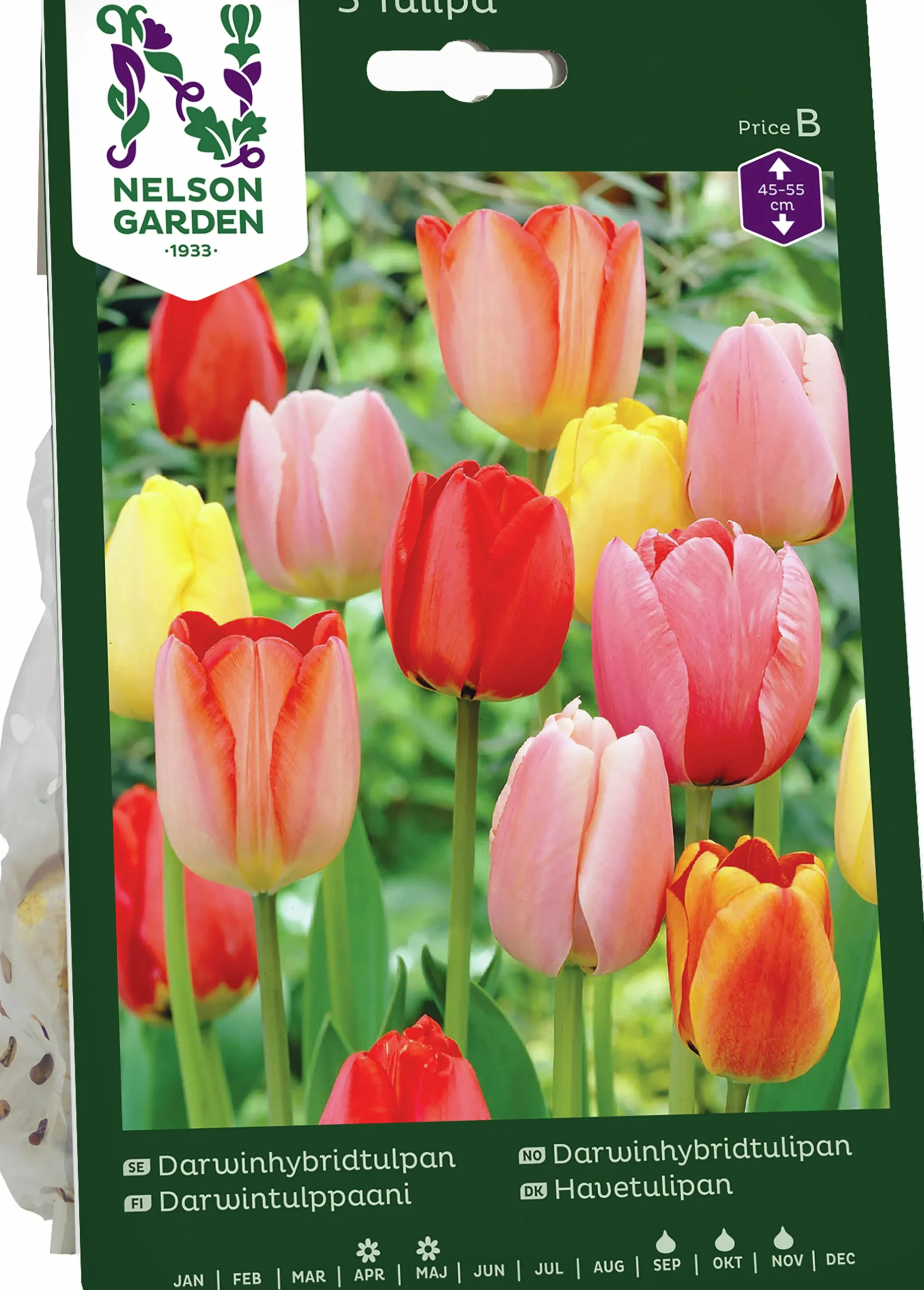 Höstlök Darwintulpan Mix>Nelson Garden Discount