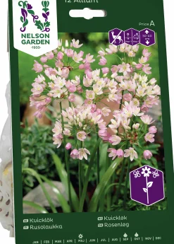 Höstlök Kvicklök Rosa>Nelson Garden New