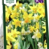 Höstlök Narcisser Mix>Nelson Garden Best