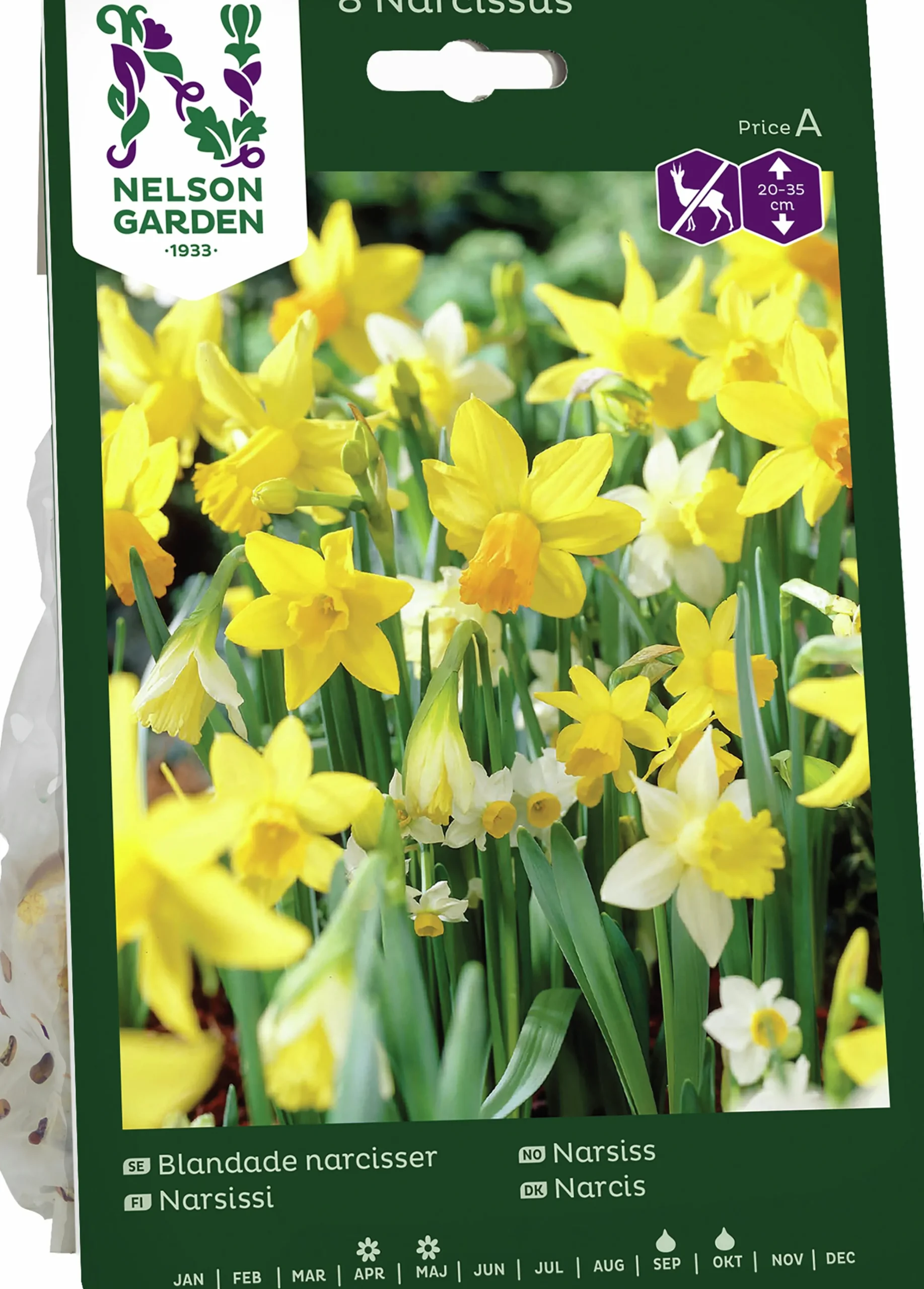 Höstlök Narcisser Mix>Nelson Garden Best
