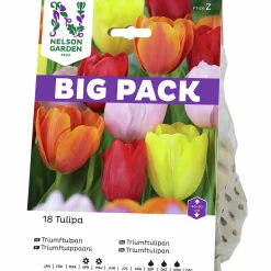 Höstlök Triumftulpan Mix färg Big Pack>Nelson Garden Hot