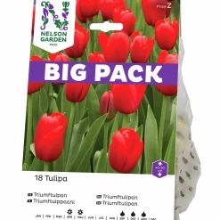 Höstlök Triumftulpan Röd Big Pack>Nelson Garden Hot