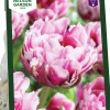 Höstlök Tulpan Dazzling Desire Sen Fylld>Nelson Garden Discount