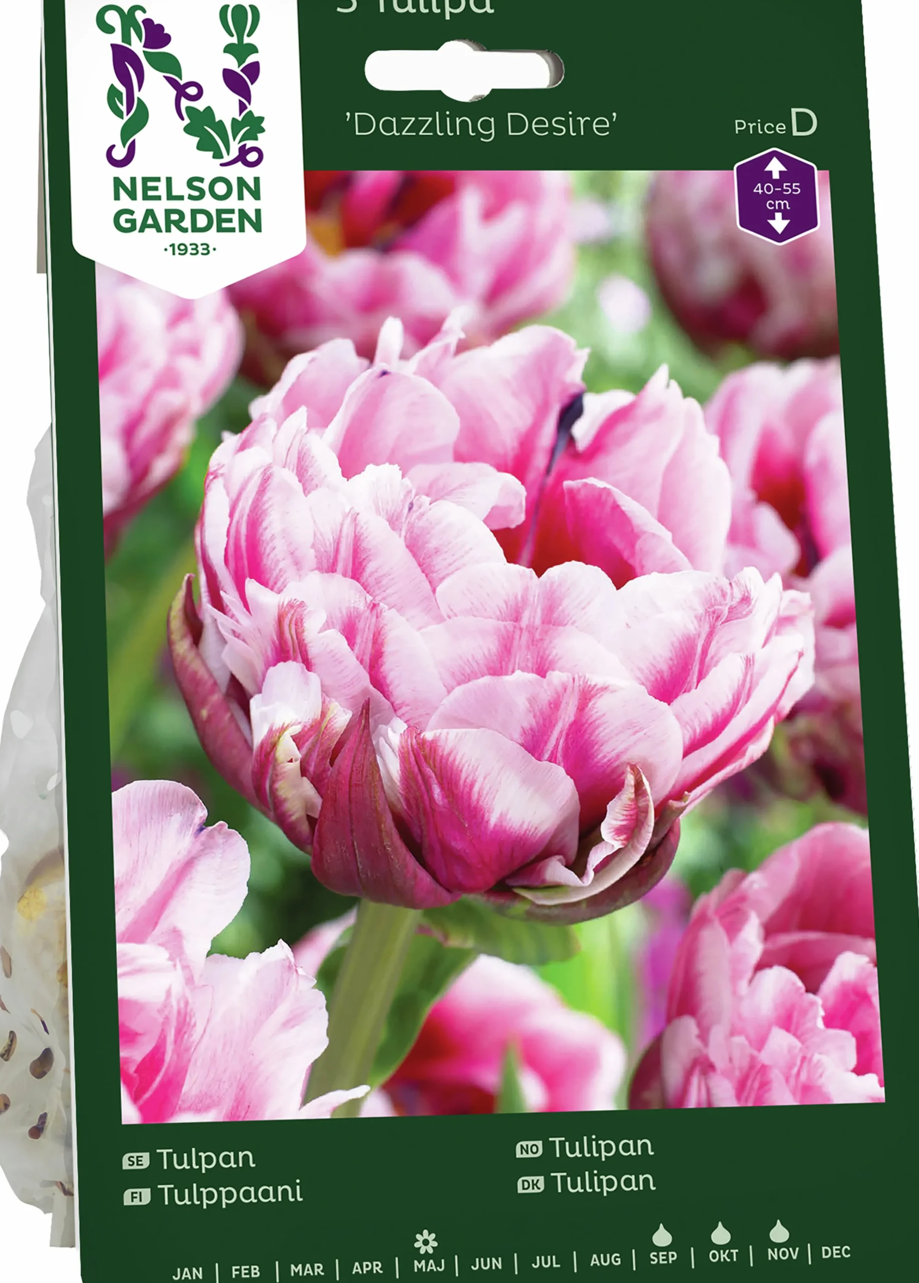 Höstlök Tulpan Dazzling Desire Sen Fylld>Nelson Garden Discount