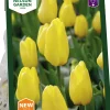 Höstlök Tulpan Gul>Nelson Garden Outlet