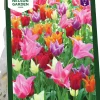 Höstlök Tulpan Lilje Mix>Nelson Garden Clearance