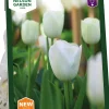 Höstlök Tulpan Vit>Nelson Garden Online