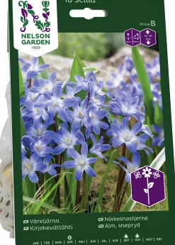 Höstlök Vårstjärna Blå>Nelson Garden New