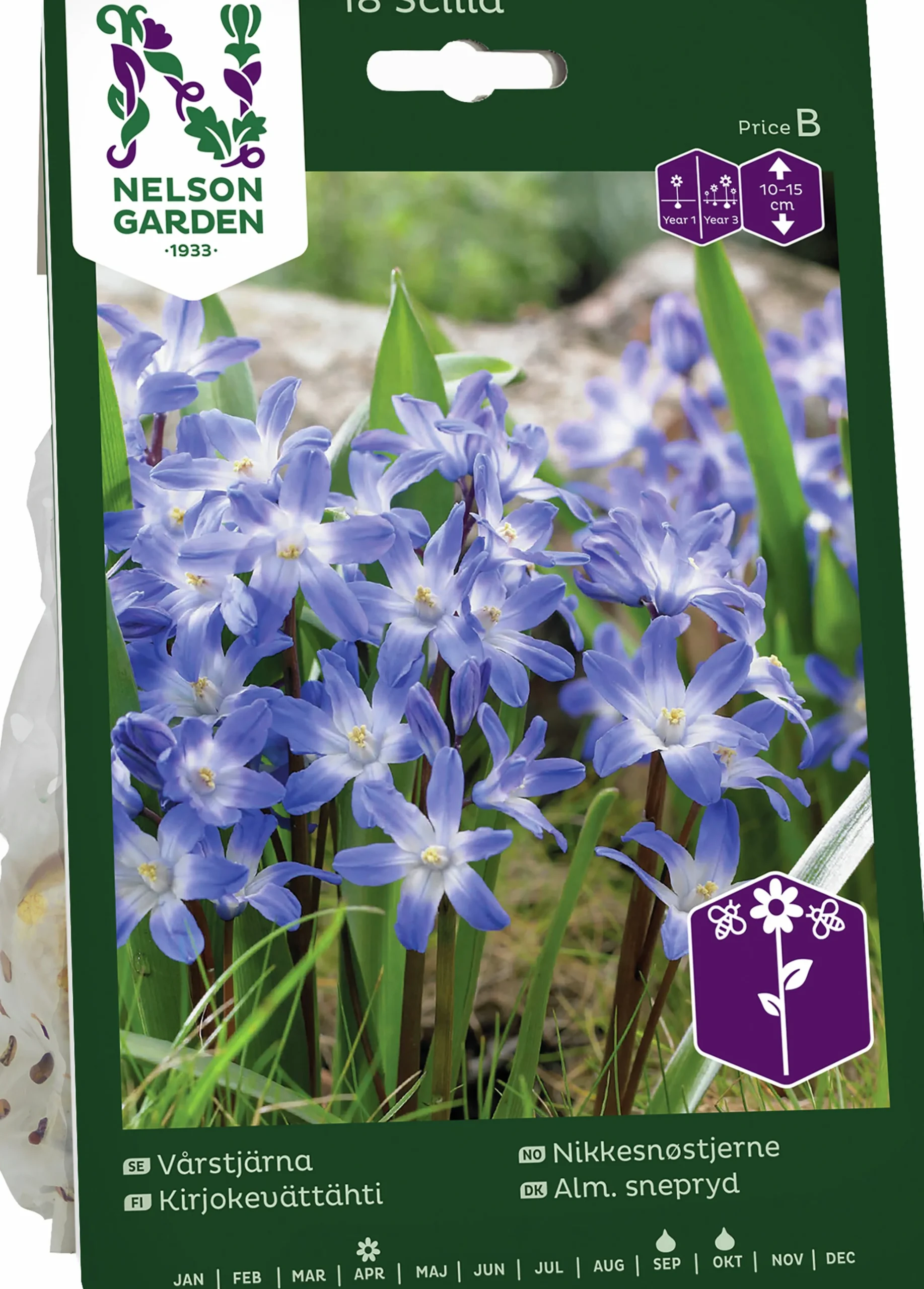 Höstlök Vårstjärna Blå>Nelson Garden New