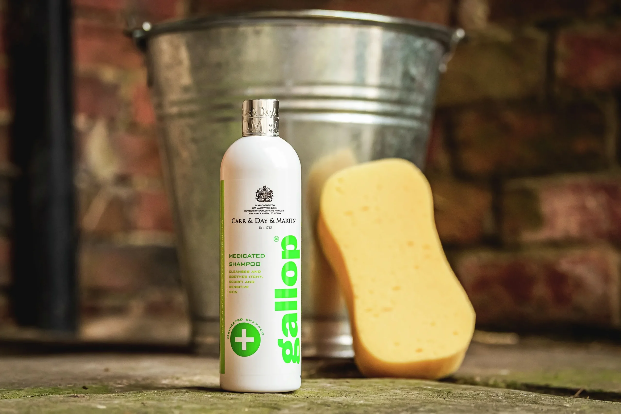 Hästschampo Carr & Day & Martin Gallop Medicated 500ml>Carr Day Martin Hot