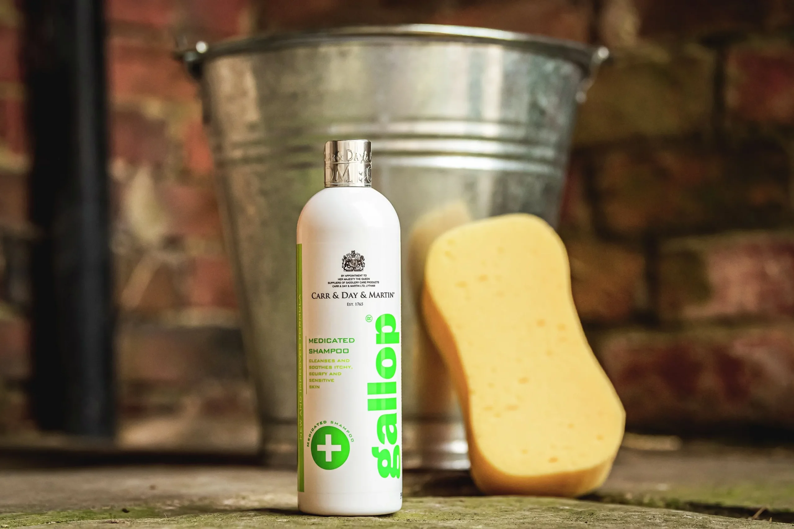 Hästschampo Carr & Day & Martin Gallop Medicated 500ml>Carr Day Martin Hot
