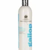 Hästschampo Carr & Day & Martin Gallop Extra Strength 500ml>Carr Day Martin Hot
