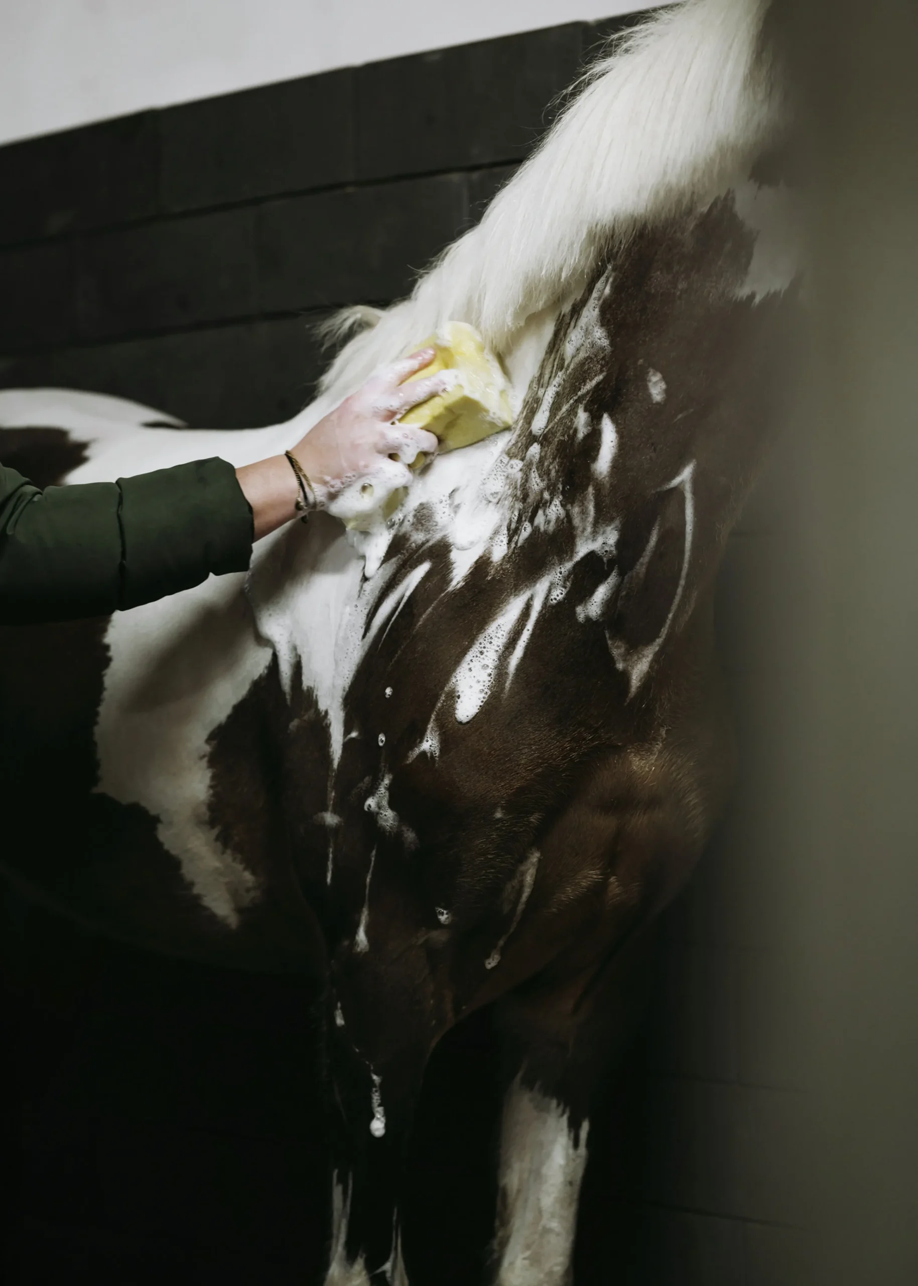 Hästschampo 1L>Fair Horse Care Best