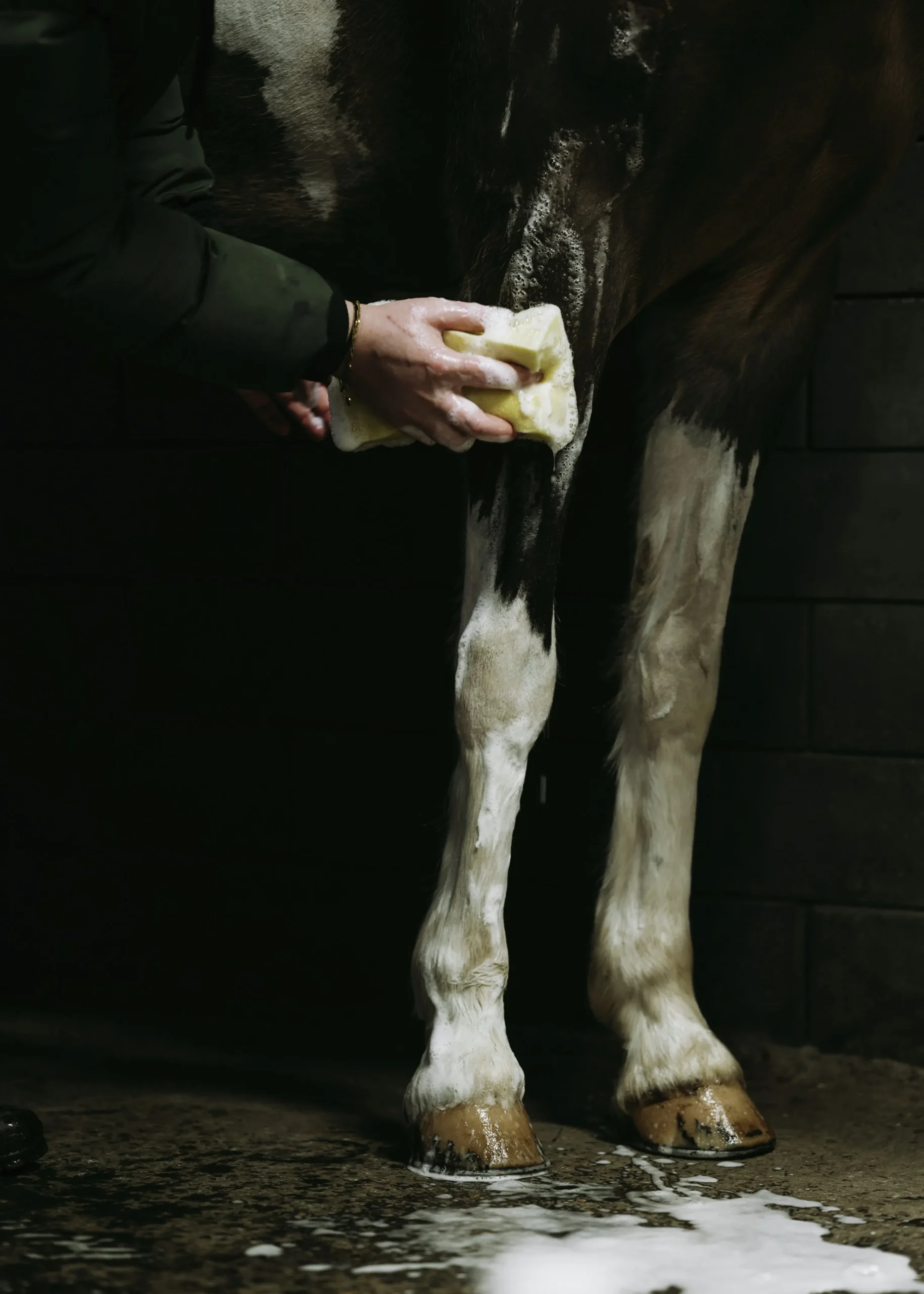 Hästschampo 1L>Fair Horse Care Best