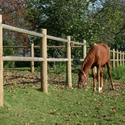 Häststängsel Natur>Nordic Fence Online