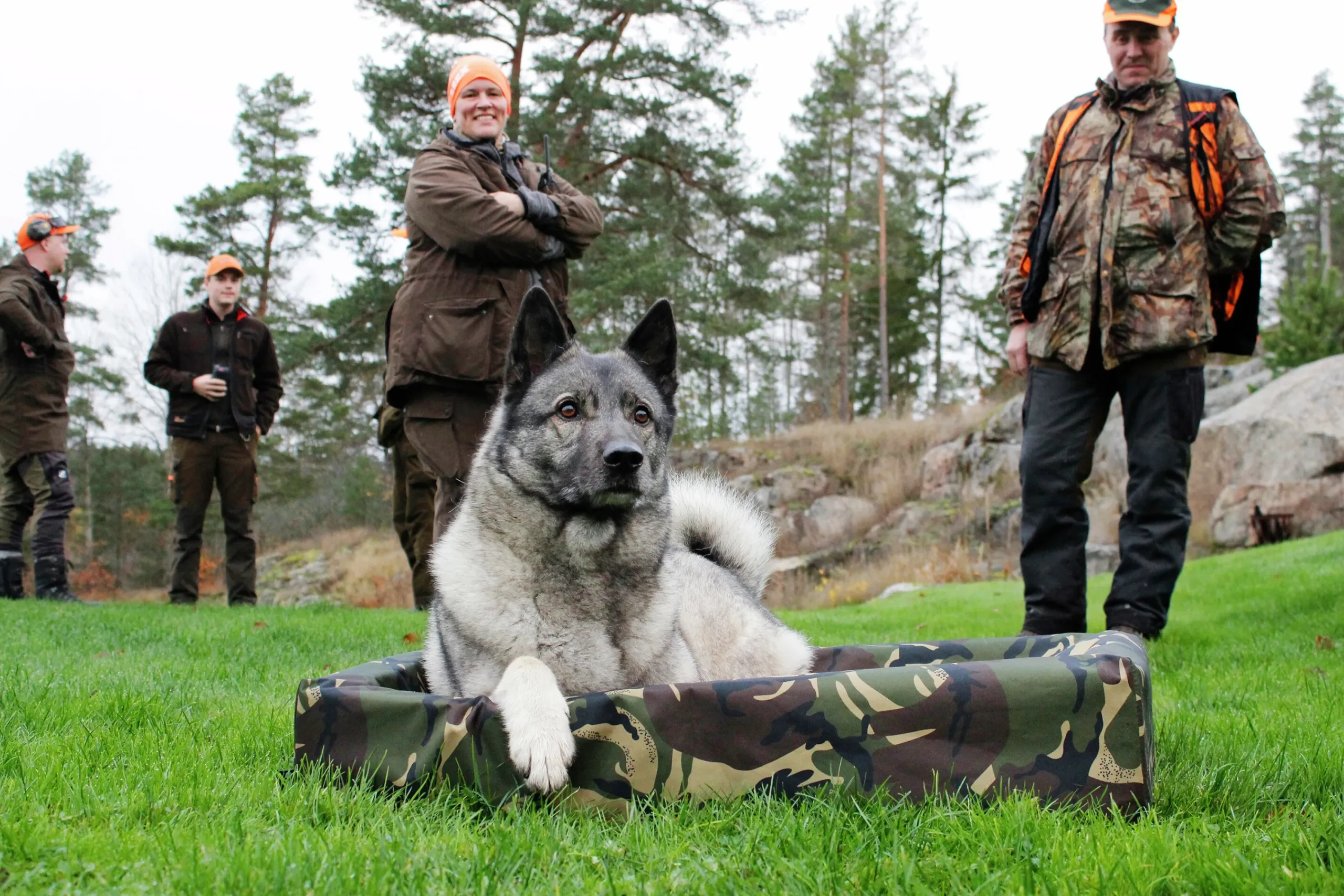 Hundbädd>Bia bed Clearance
