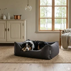 Hundbädd kåne tengrå><noscript><img width=
