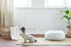 Hundbädd Loppa Donut Fluffig Vit 50cm><noscript><img width=
