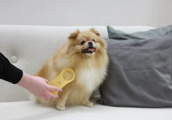 Hundborste Golden>MagicBrush New
