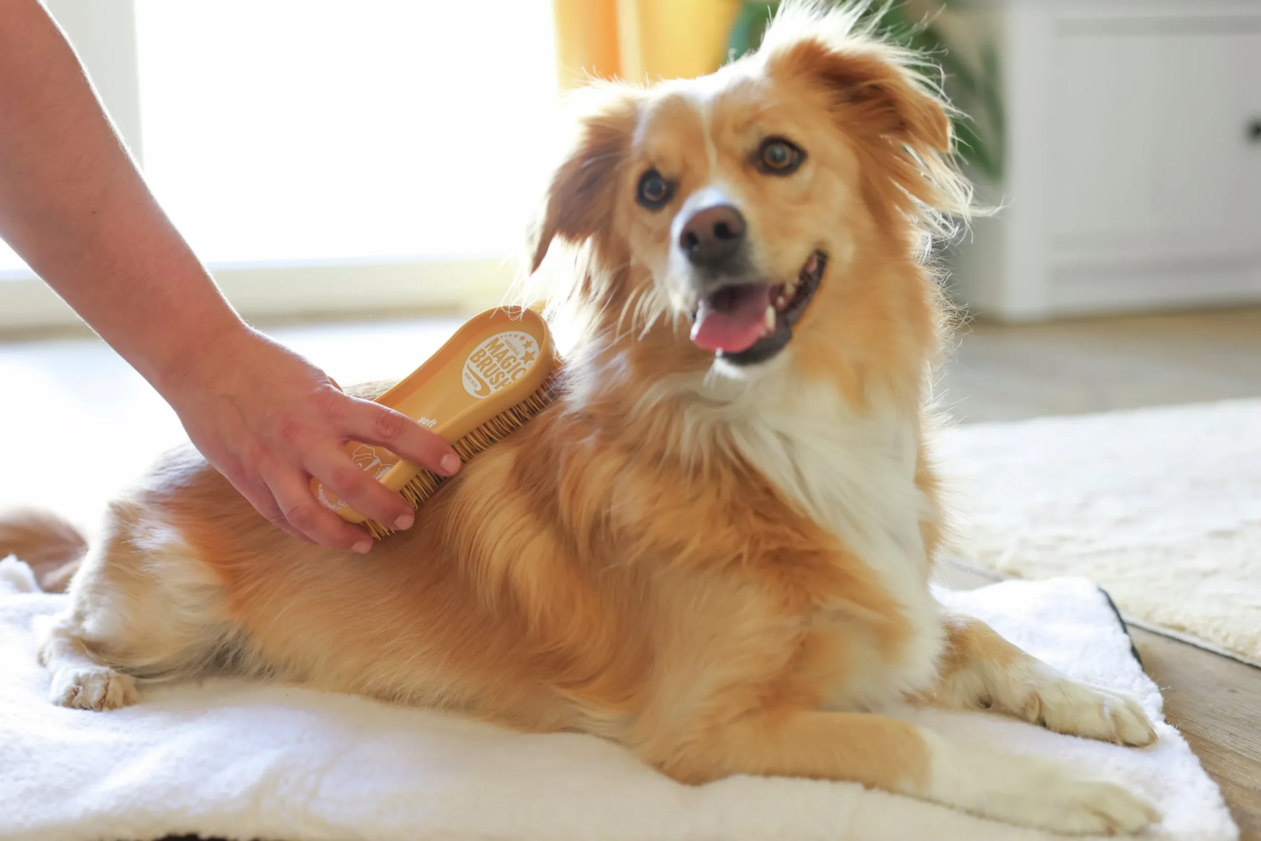 Hundborste Soft Ocean Sand>MagicBrush