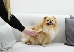 Hundborste Soft Ocean Sand>MagicBrush