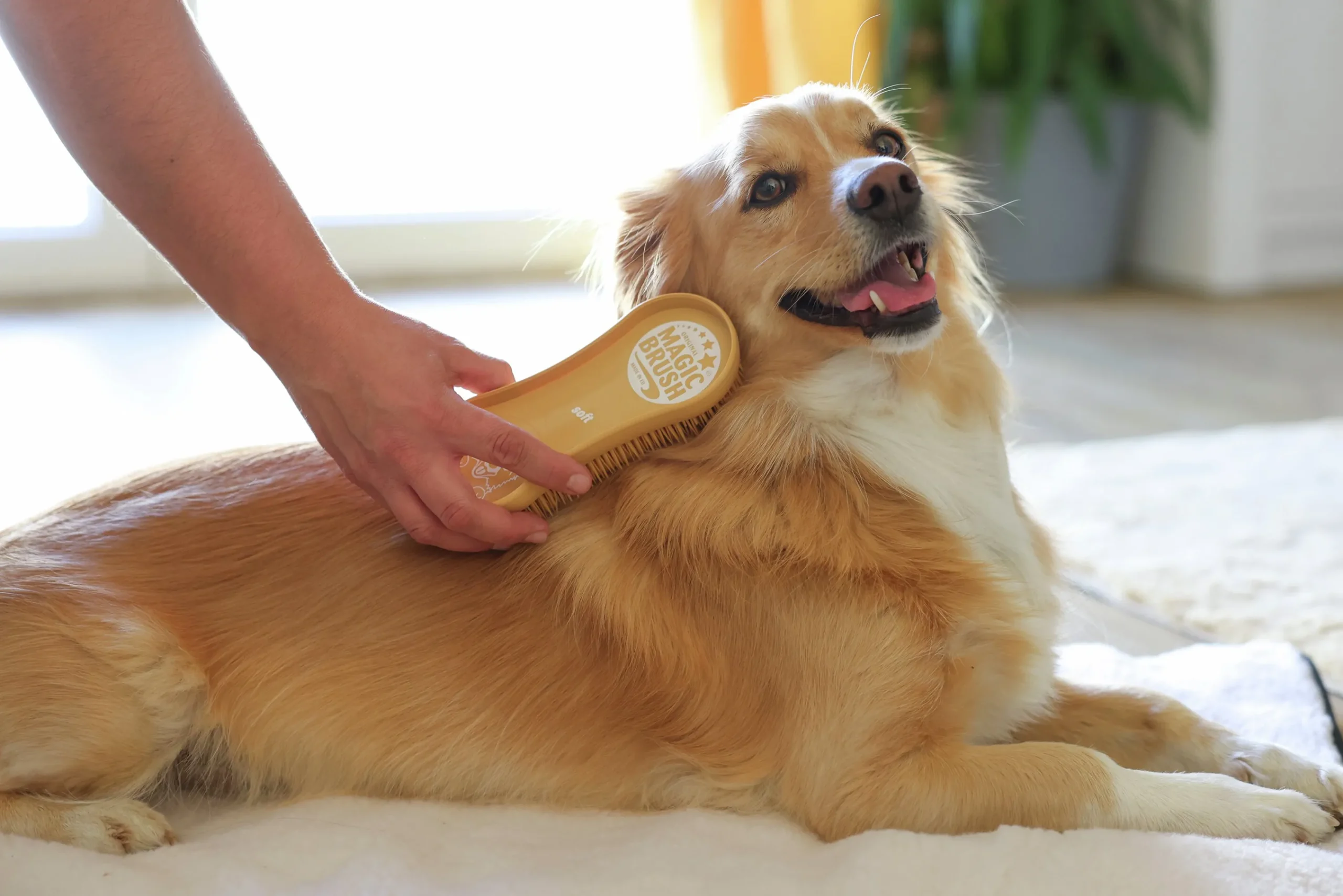 Hundborste Soft Ocean Sand>MagicBrush