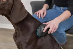 Hundborste Mjuk i Plast Turkos 19cm><noscript><img width=