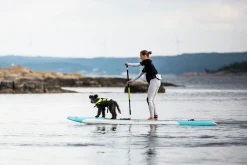 Hundfytvät acot,><noscript><img width=