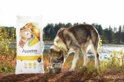 Hundfoder Light 12kg>Appetitt Sale