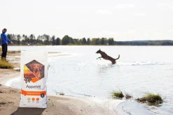Hundfoder Maintenance Large 12kg>Appetitt New