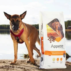 Hundfoder Maintenance Large 12kg><noscript><img width=